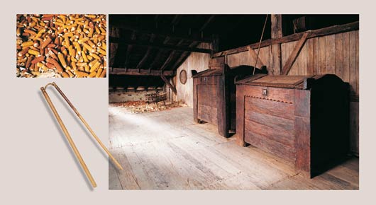 Maices extendidos a secar en el suelo del granero / Trojes del siglo XVI utilizados para guardar trigo / Mayal para desgranar trigo y alubias.