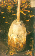 Sagarra jotzeko pisoia