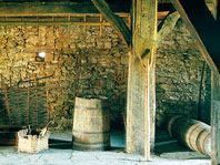 Upetegia